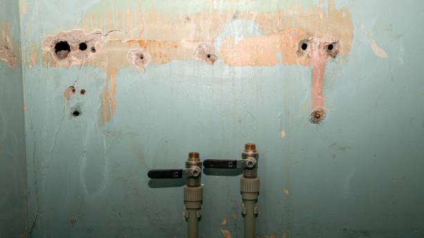 Best Professional water damage repair  in Paulina, LA