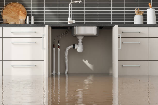 Best Flooded house restoration  in Paulina, LA