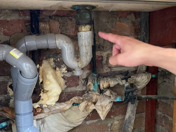  Paulina, LA Water damage restoration Pros