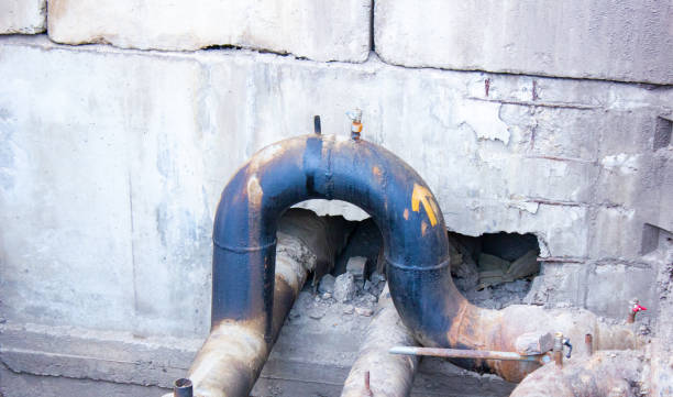 Best Basement water damage restoration  in Paulina, LA