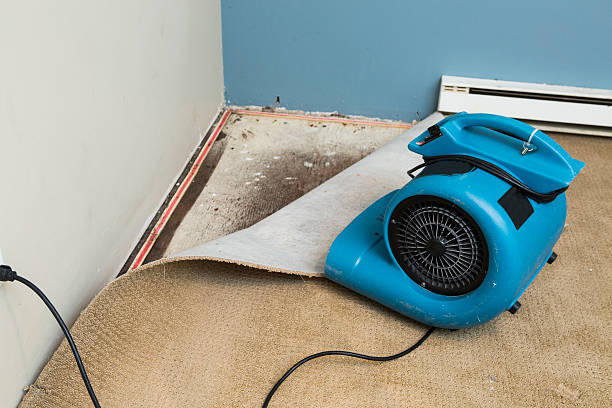 Best Sewage cleanup and water damage restoration  in Paulina, LA